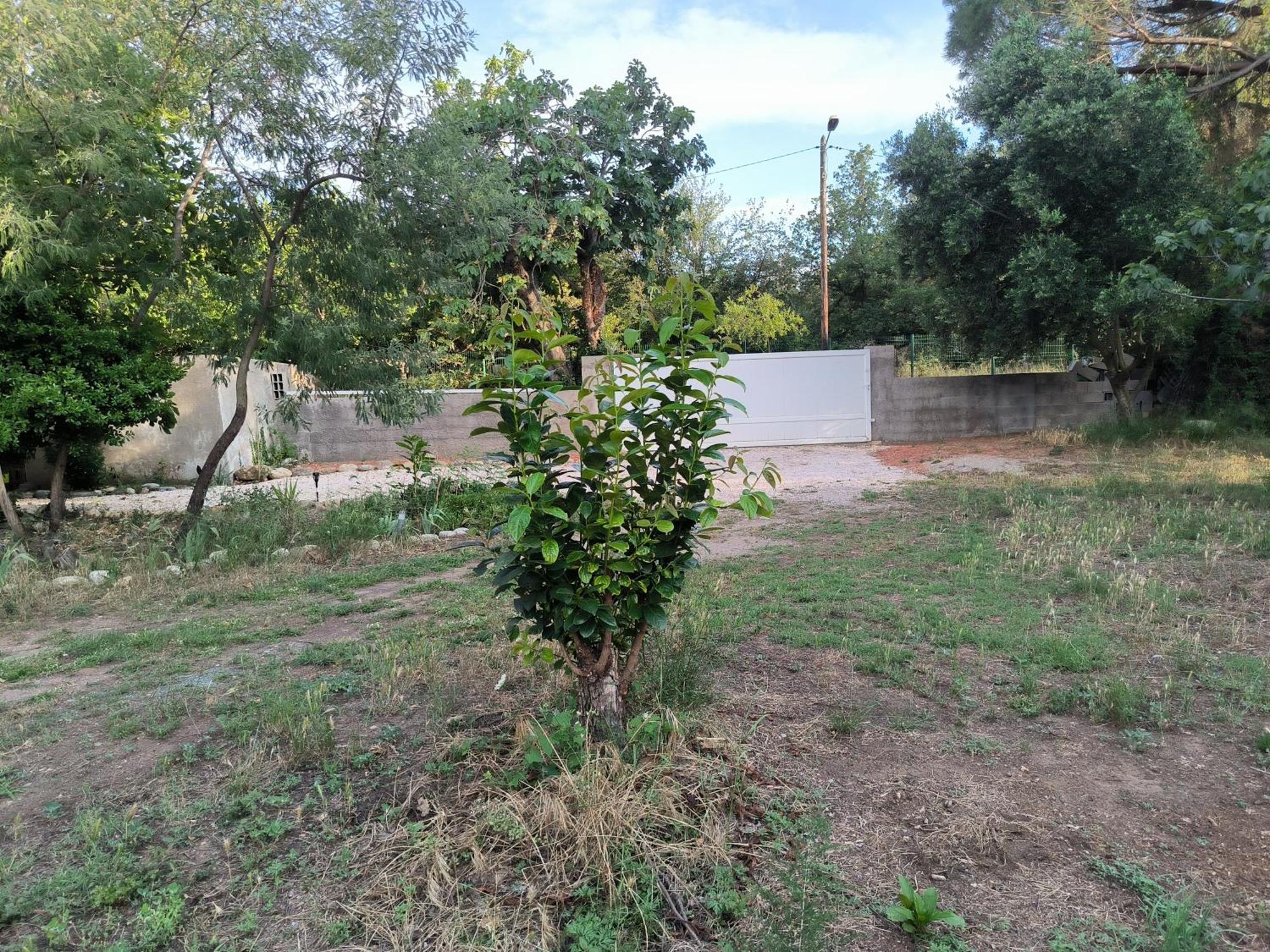 Apartament Location Saisonniere Curiste Montesquieu  Zewnętrze zdjęcie