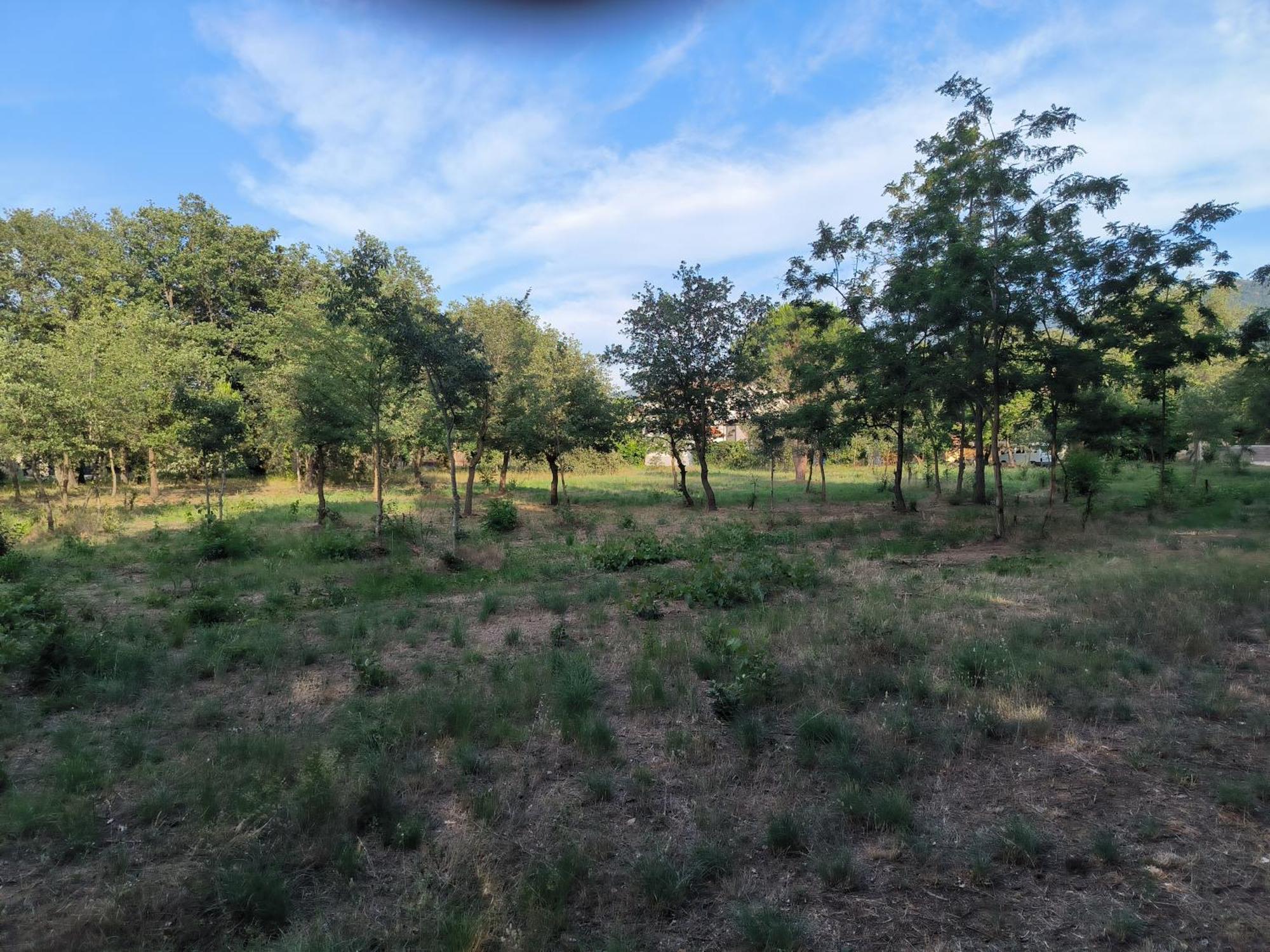 Apartament Location Saisonniere Curiste Montesquieu  Zewnętrze zdjęcie